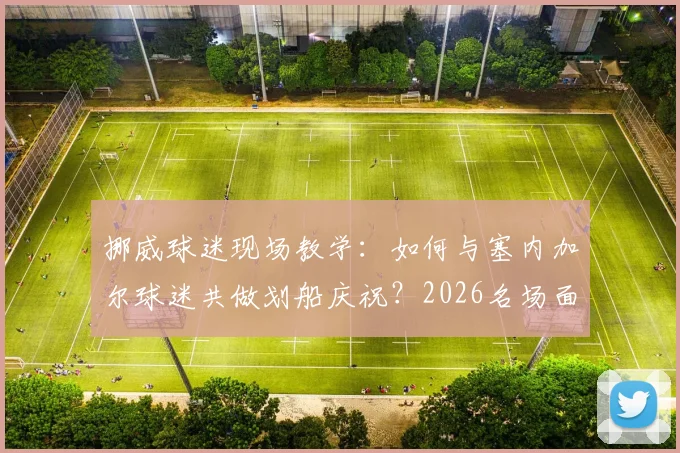 挪威球迷现场教学:如何与塞内加尔球迷共做划船庆祝?2026名场面动作分解
